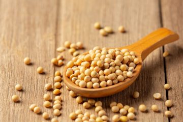 Soybean Seeds 2 Soybean Seeds 2